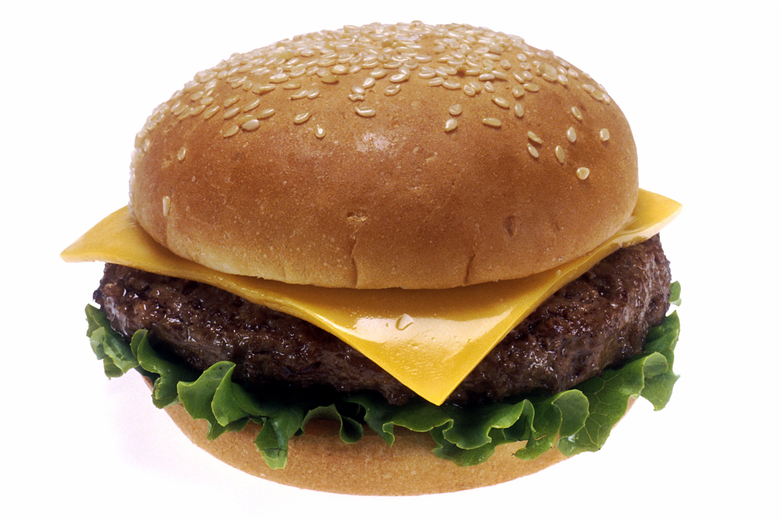 Animal Style Cheeseburger